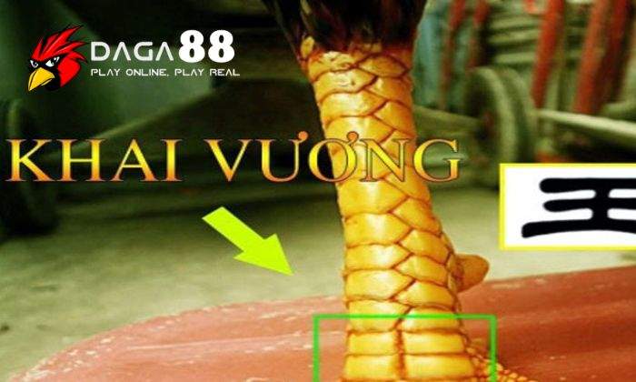 Đặc điểm của vảy Khai Vương Đặc điểm của vảy Khai Vương