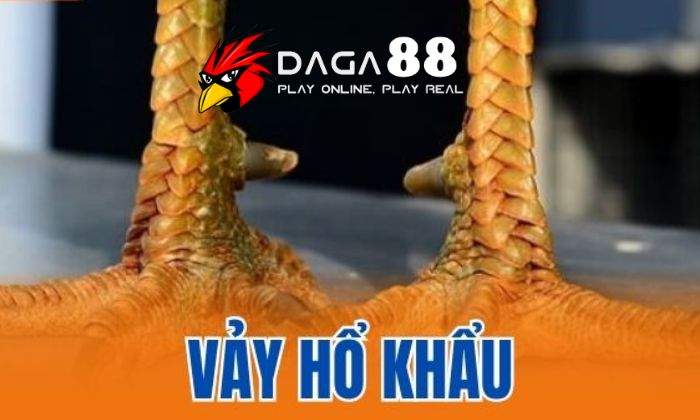 Giới thiệu về vảy Hổ Khẩu Giới thiệu về vảy Hổ Khẩu