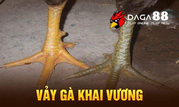 Giới thiệu về vảy Khai Vương Giới thiệu về vảy Khai Vương